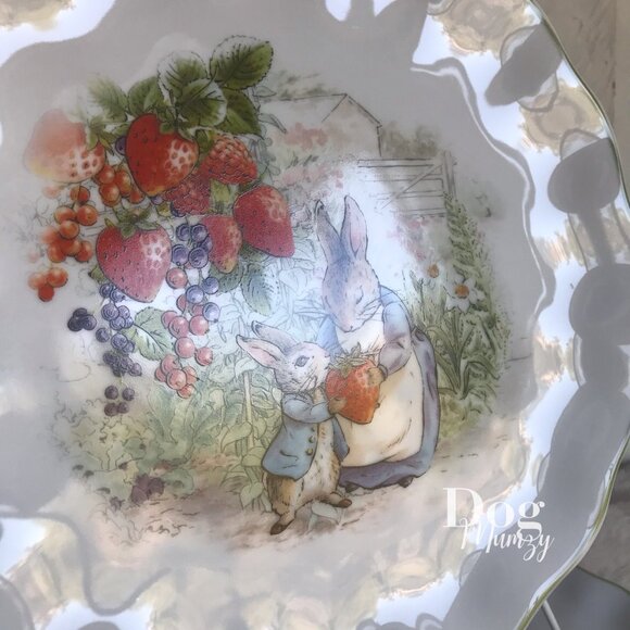 2 Peter Rabbit Classics Textured Lettuce Edge Spring Dinner Plates - Picture 5 of 8